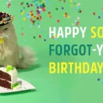 What Does Happy Belated Birthday Mean